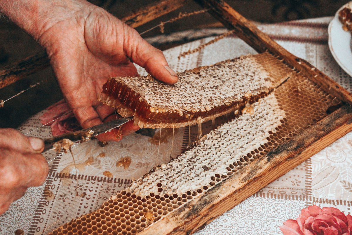 An Evening Among the Bees: A Private Honey Tasting