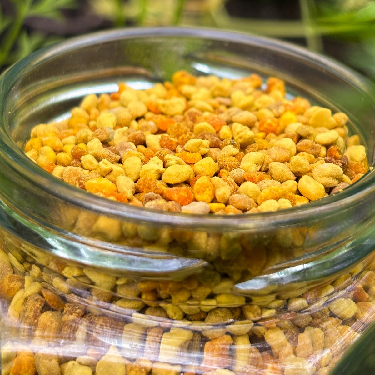 Bee Pollen & Honeycomb