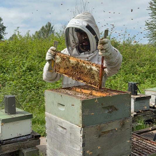 Beekeeper for a Day - Mite Treatment  - August 1st 2026