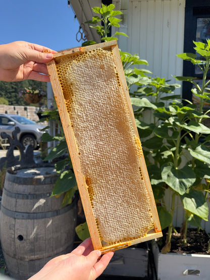 Honeycomb - Full Frame - In Store Pickup Only