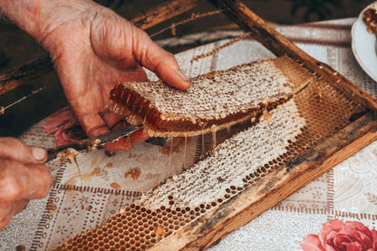 An Evening Among the Bees: A Private Honey Tasting